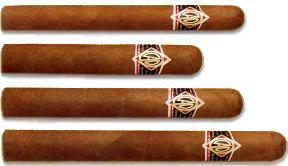 CAO BLK