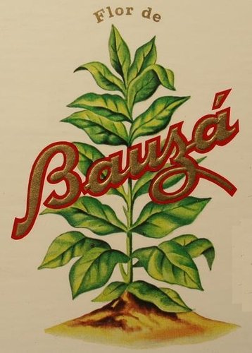 Logo der Marke Bauza