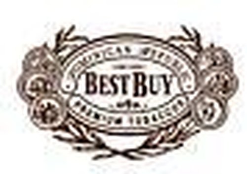 Best Buy Logo der Marke Best Buy