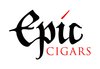 Epic Logo of the brand Epic