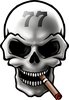 Logo der Marke Skull 77