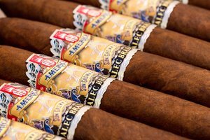 Alec Bradley American Sun Grown Blend Stimmungsbild