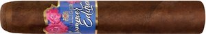 Dominican Republic 2025 Stick