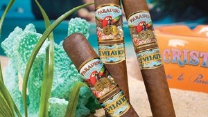 Paradiso Revelation Leviathan