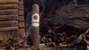 Rocky Patel Sun Grown Maduro Robusto