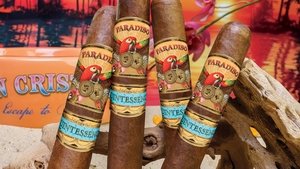 Paradiso Quintessence Robusto