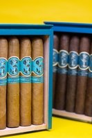 Matilde Serena Robusto