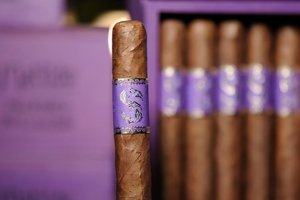 Matilde Exposure No. 2 Toro