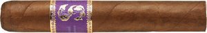 Exposure No. 2 Robusto