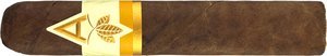 Artista Harvest Robusto