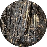 Cornell & Diehl Tabak Star of the East Flake_Tabak