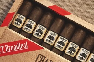 Foundation Cigars Charter Oak CT Broadleaf Zigarren