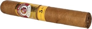 Adrian Magnus Millennium Robusto_