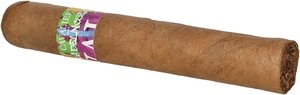 Delincuentes Robusto Stick 2
