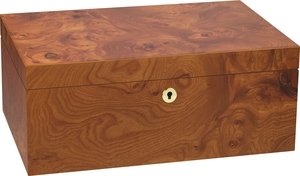 Adorini &ndash; Elm Burl