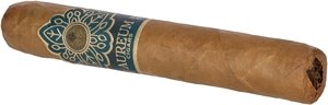 Connecticut Robusto stick 2