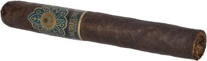 San Andrés Maduro Toro stick 2