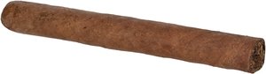 Kautz Corona stick 2