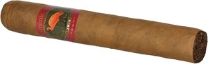 Ibis Dominicana Gran Robusto Fuerte_Zigarre