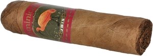 Ibis Dominicana Mini Robusto_Zigarre