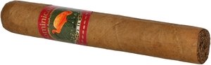 Ibis Dominicana Robusto_Zigarre