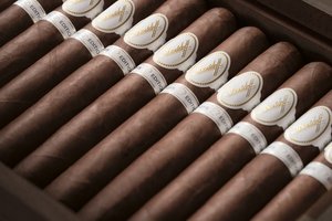 Chefs Edition 2025 Mood