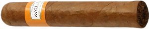 El Sitio Robusto