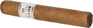 1492   Robusto stick 2