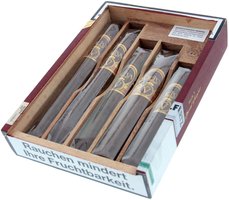 Oliva Serie V Sampler offen