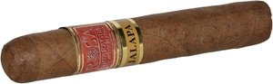 Rosa Nicaragua Jalapa Robusto (5x50)