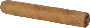 Meine Longfiller Bundles Toro_Zigarre