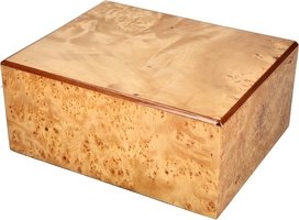 Zigarrenzubehör Humidor  Guy Janot Wurzel Elegance (603)