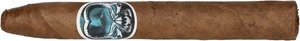 Asylum Schizo Torpedo