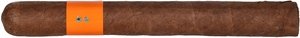 Patoro Serie P Demie (Corona)