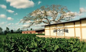 Alec Bradley Merchandise Keilrahmen Road Tour 2017 Motiv Tabac Field