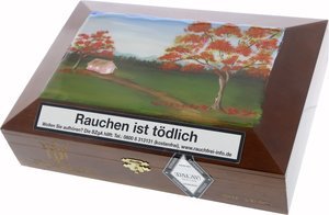 Zigarren Dominikanische Republik  Dalay Box 24 von 30