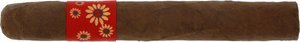 Zigarren Dominikanische Republik  Dalay Box 10 von 30 (Einzelzigarre)