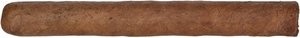 Rocky Patel Kautz Corona
