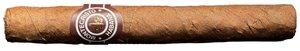 Montecristo Short