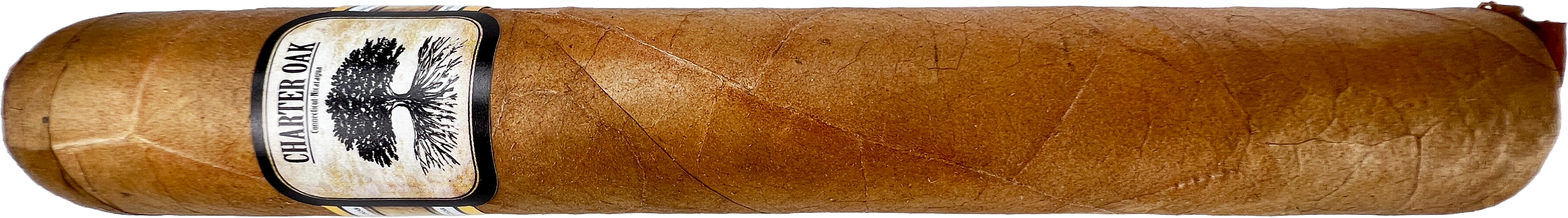 Foundation Cigars Charter OAK Connecticut Grande Cigarworld.de