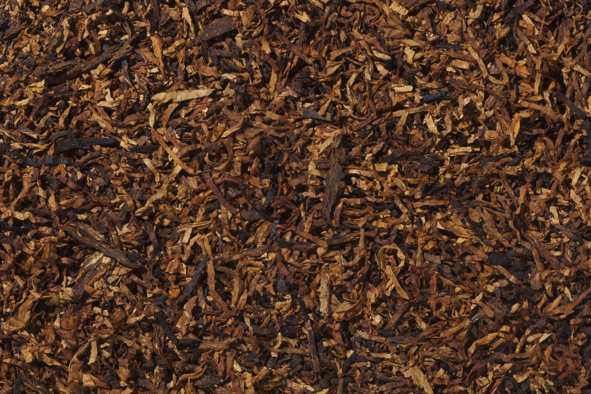 Bentley Pfeifentabak La Dolce Vita Schnitt