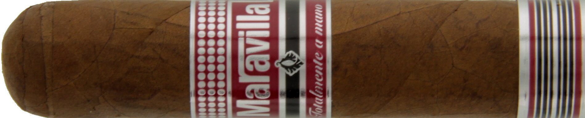 Maravilla Edicion Limitada Short Churchill