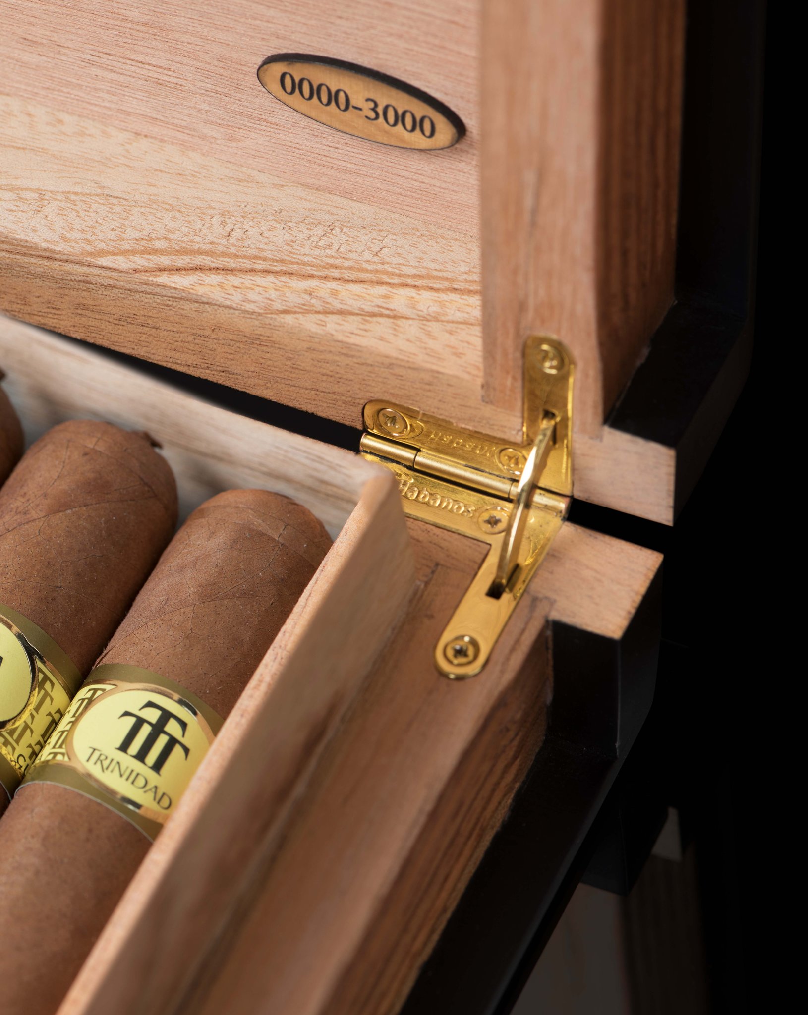 Habanos Colección Trinidad Casilda Colección Habanos 2019 Detailbild 2