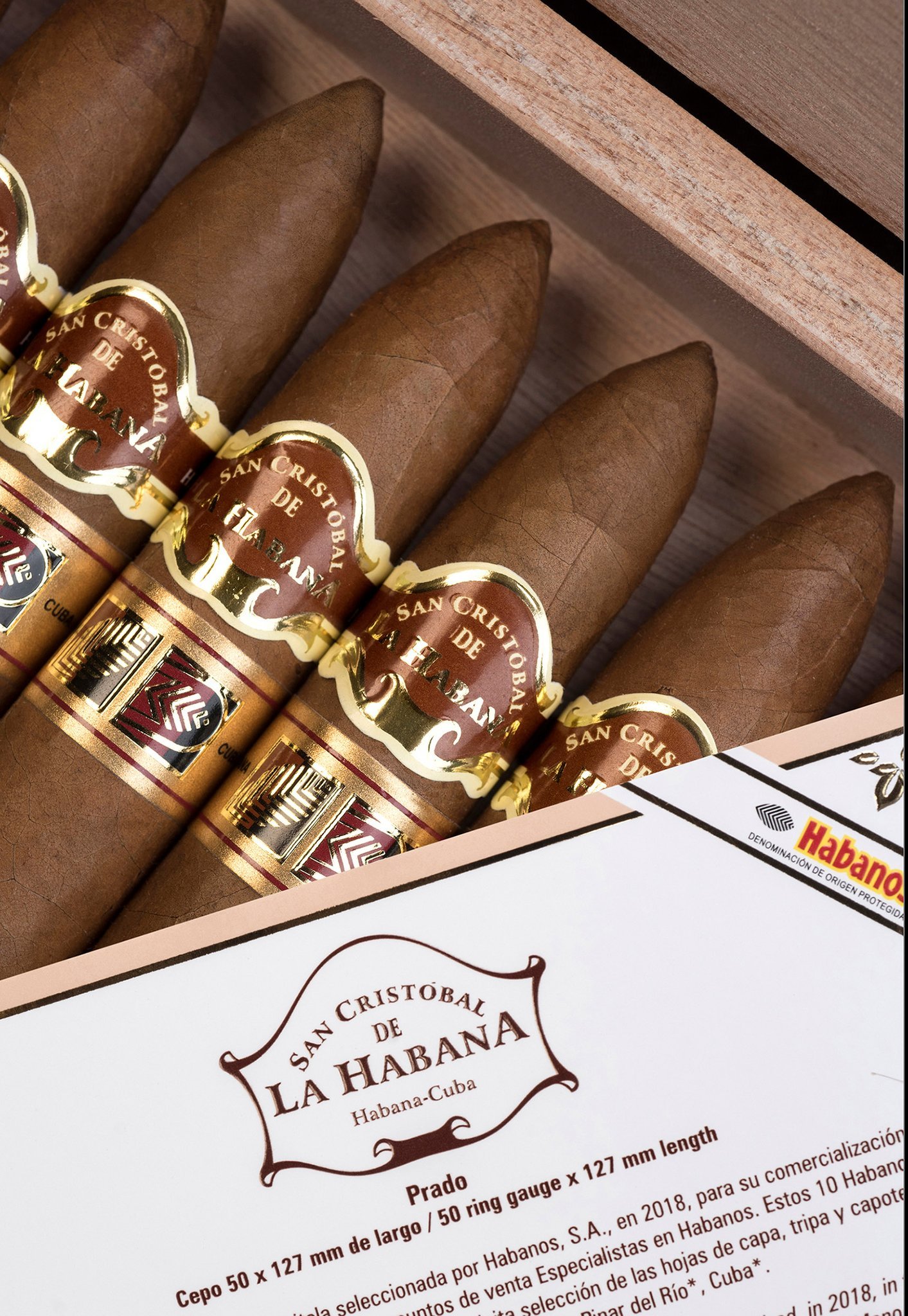 San Cristobal LCDH Prado (Habanos Specialist Exklusiv) Kiste offen Detailbild 1