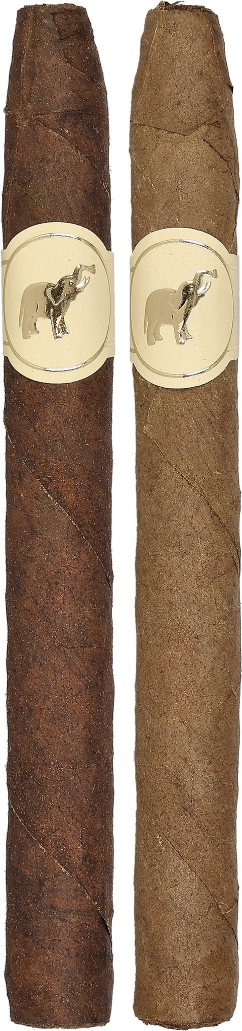 2026 200 Jaar Kampen Corona Panatella sticks