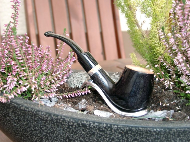 Giordano Borgia Modell 14460