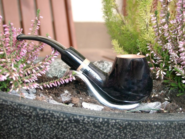 Giordano Borgia Modell 14463