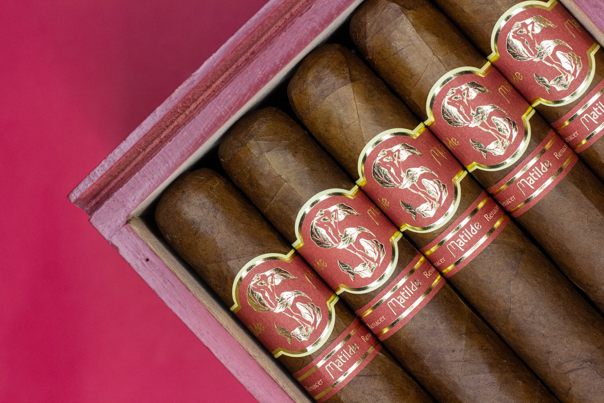 Matilde Renacer Robusto