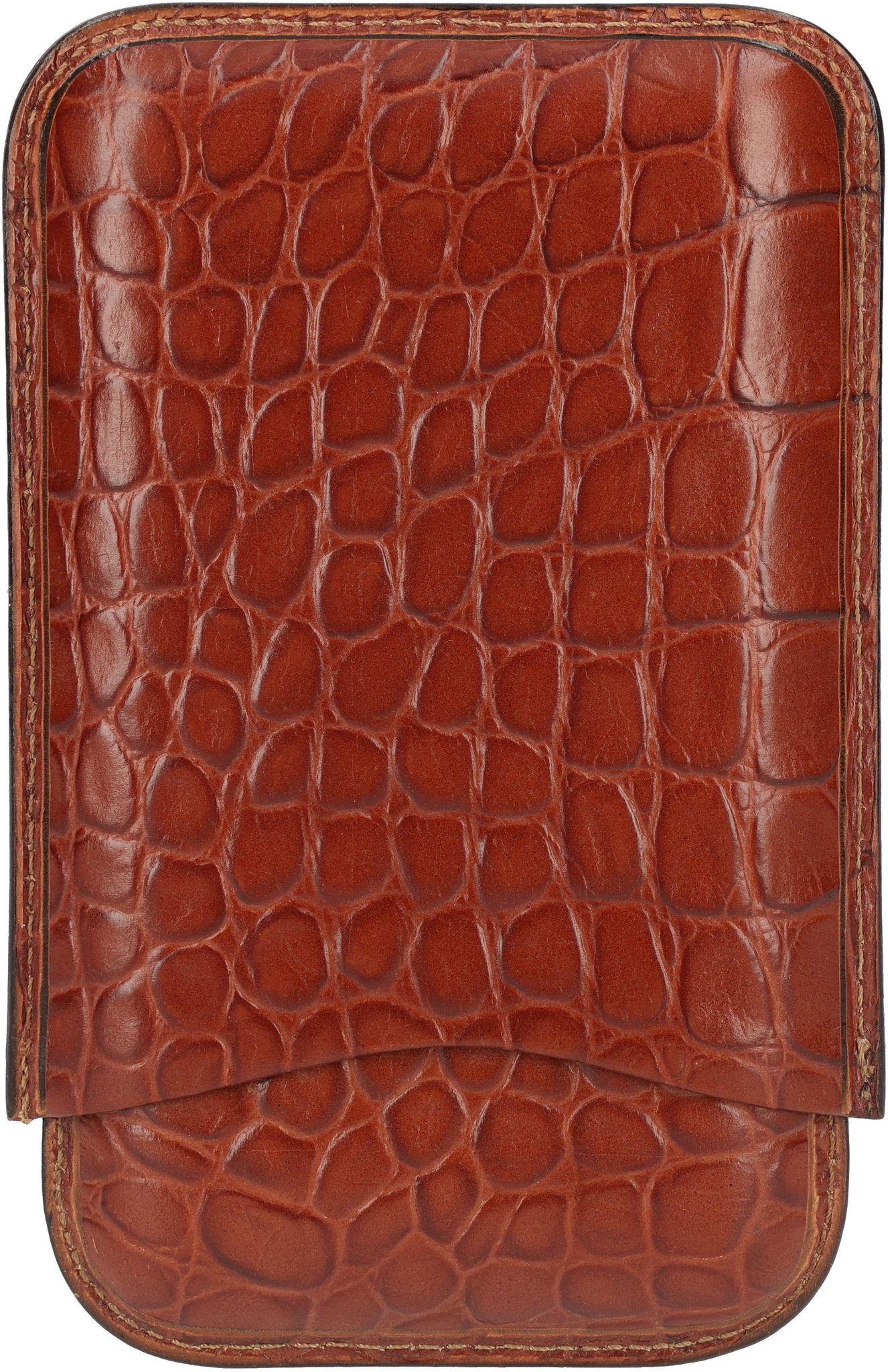 4er Leder Braun Croco 01