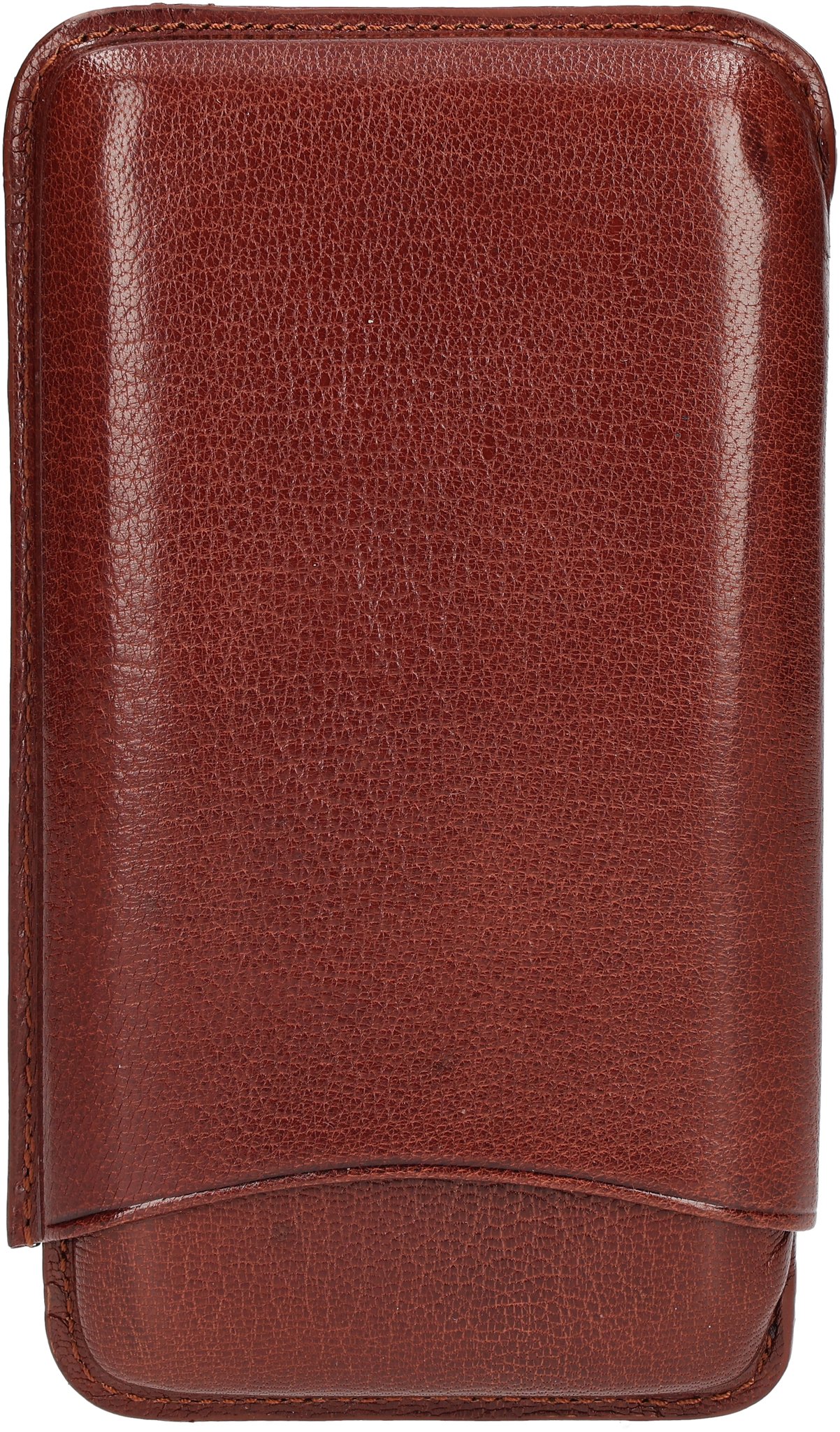 4er Leder Braun 01